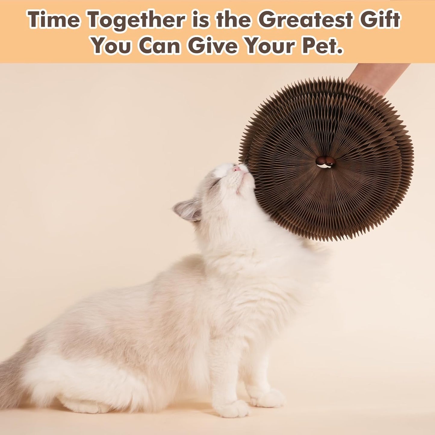 Planche à griffes de chat Magic Organ