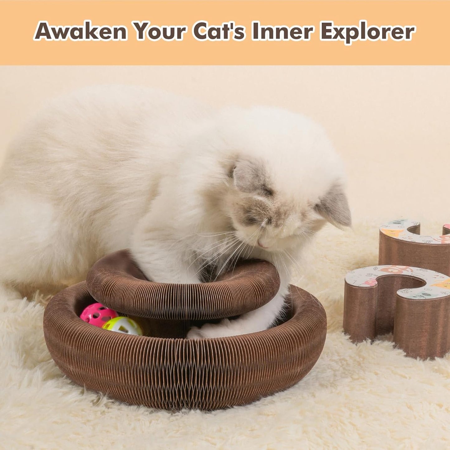 Planche à griffes de chat Magic Organ