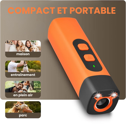 Dispositif de dressage à ultrasons répulsif pour chiens