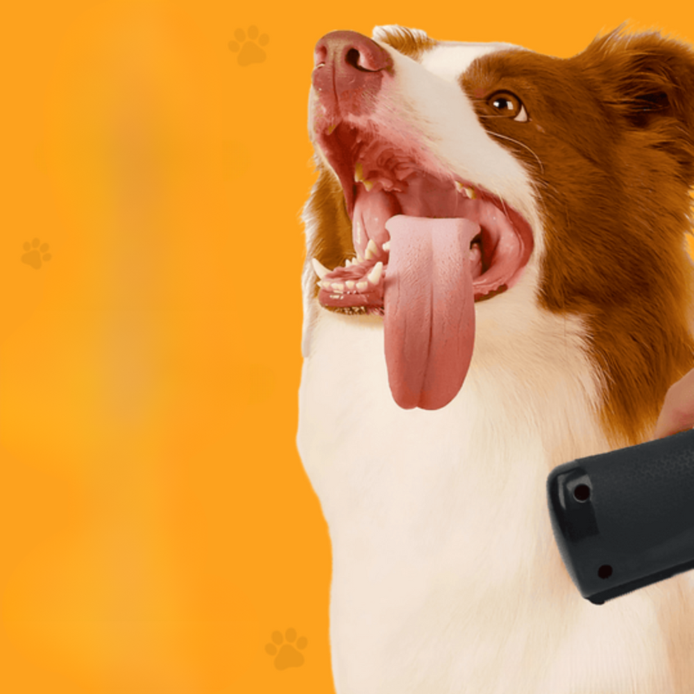 Brosse pour chien - Happy Pet Groomer