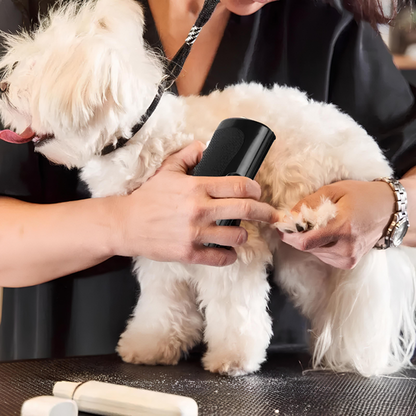 Brosse pour chien - Happy Pet Groomer