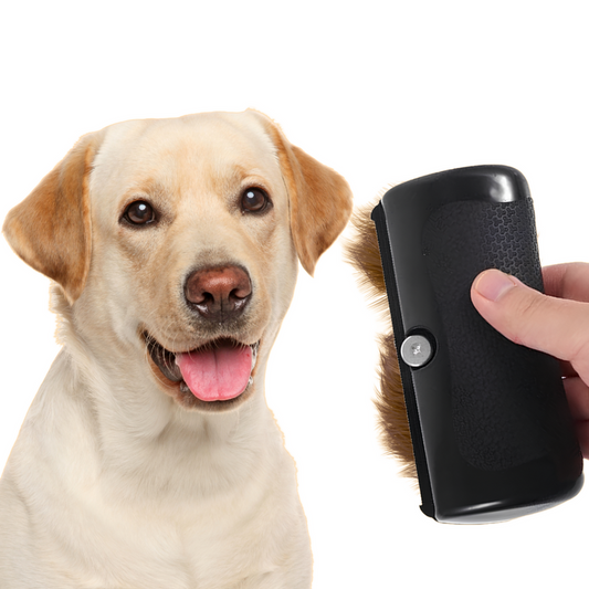 Brosse pour chien - Happy Pet Groomer